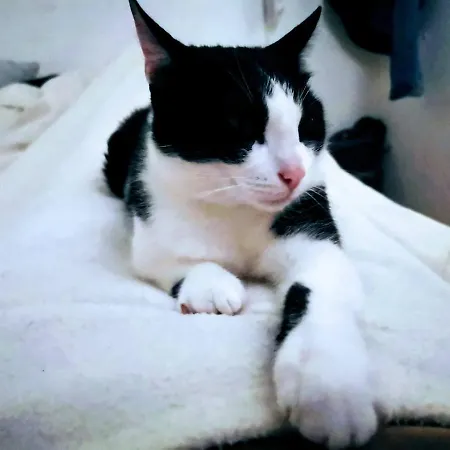 Bed & Breakfast La Centenaire - Maison D'hote Gruissan